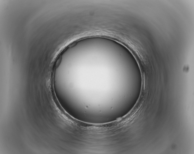 X0000096141500200801251028
