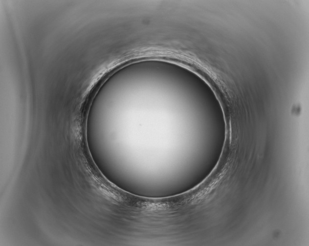 X0000096141501200801251028