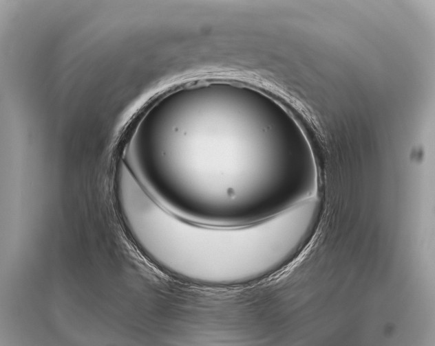 X0000096141502200801251028