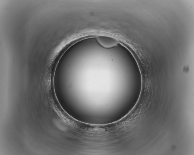 X0000096141503200801251028