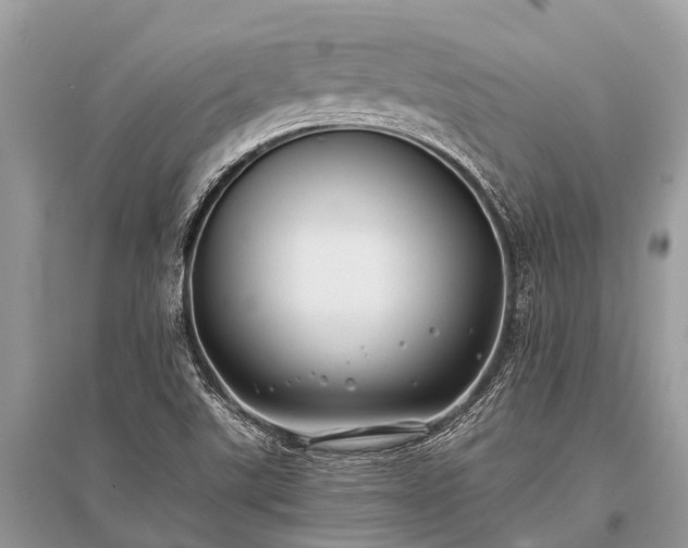 X0000096141507200801251028