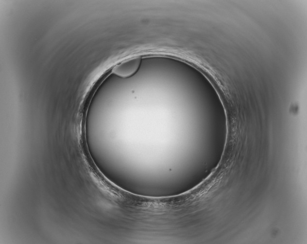 X0000096141511200801251028