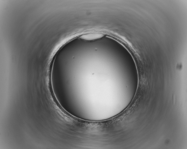 X0000096141512200801251028