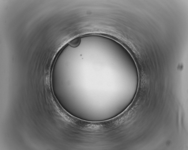 X0000096141513200801251028