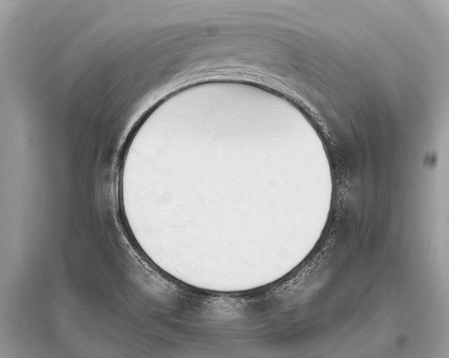 X0000096141514200801251028