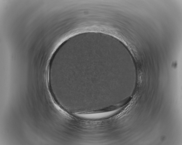 X0000096141515200801251028