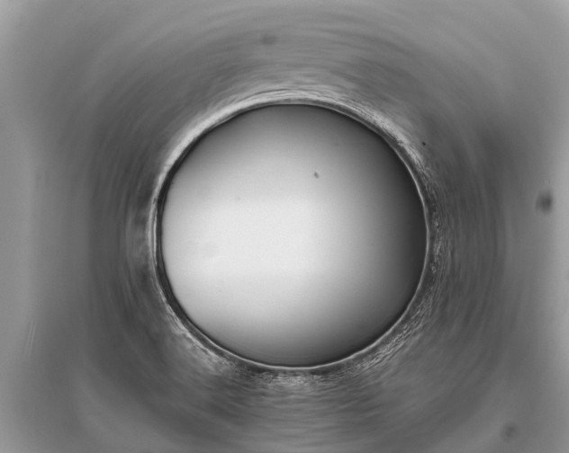 X0000096141516200801251028