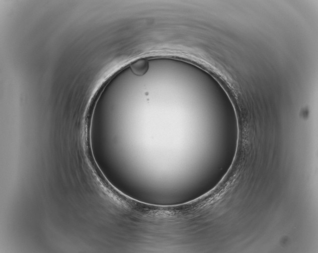 X0000096141517200801251028