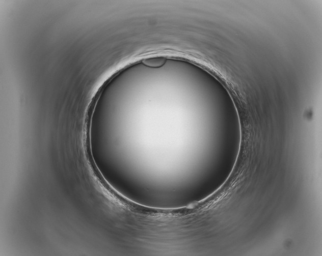X0000096141518200801251028