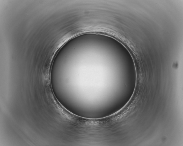 X0000096141521200801251029
