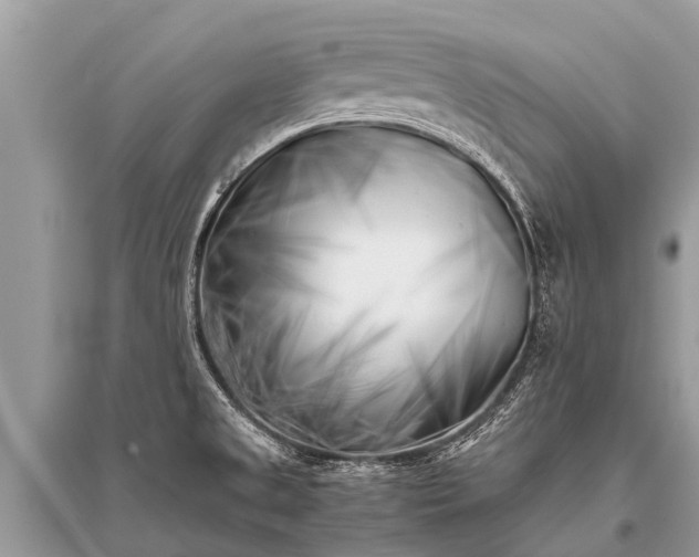 X0000096141525200801251029