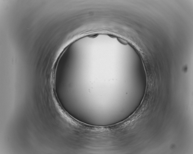 X0000096141526200801251029