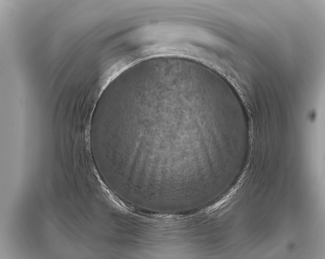 X0000096141529200801251029
