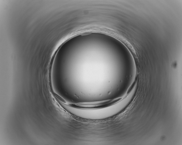 X0000096141530200801251029