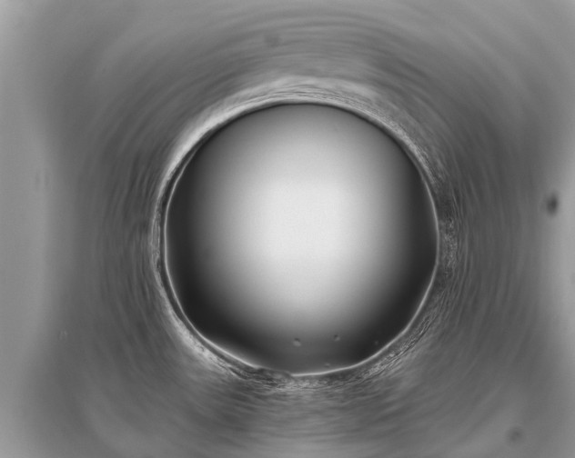 X0000096141531200801251029