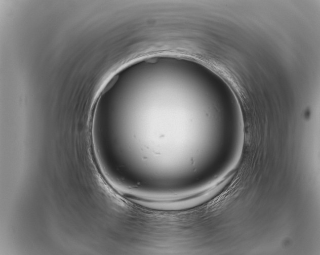 X0000096141532200801251029