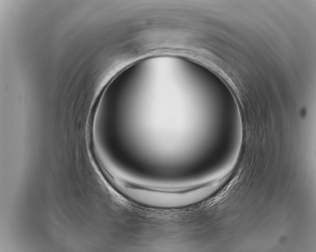 X0000096141533200801251029