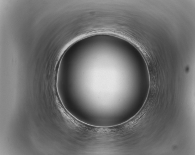 X0000096141534200801251029