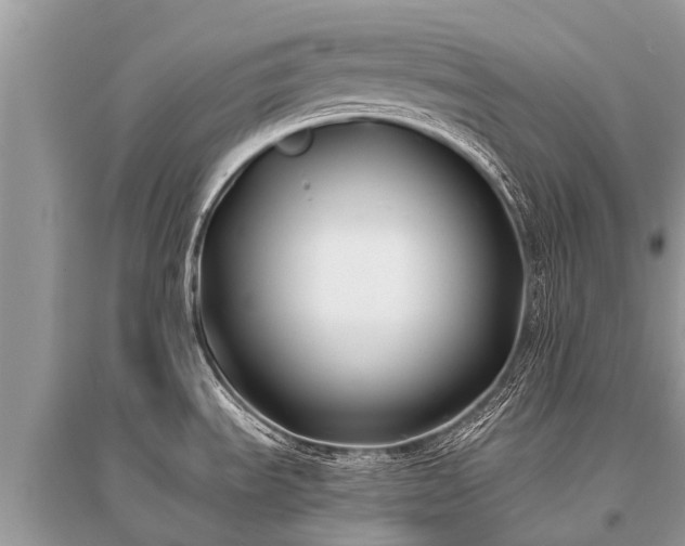 X0000096141535200801251029