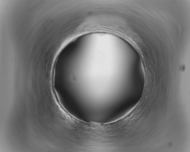 X0000096141536200801251029