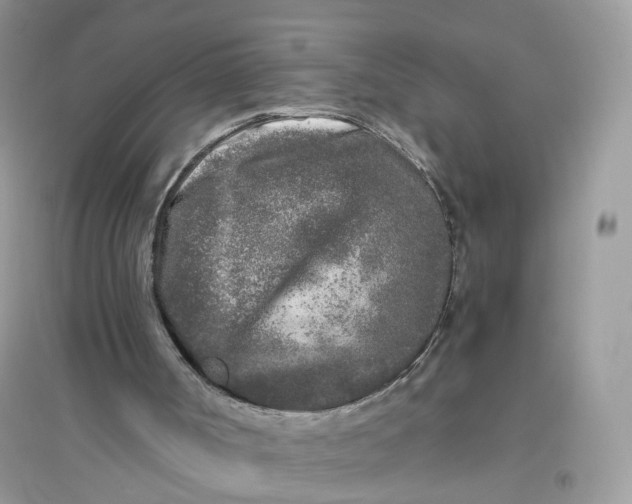 X0000096140002200802011221