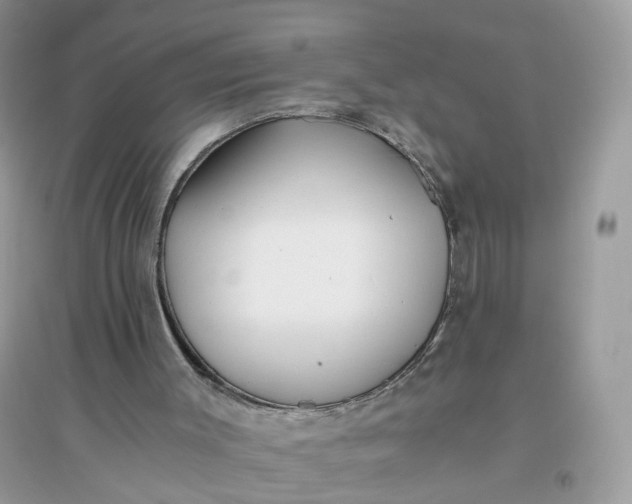 X0000096140003200802011221
