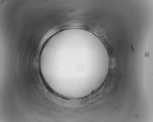 X0000096140004200802011221