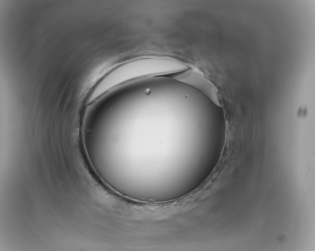 X0000096140005200802011221