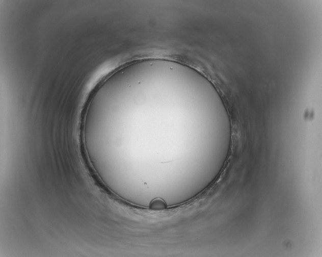 X0000096140006200802011221