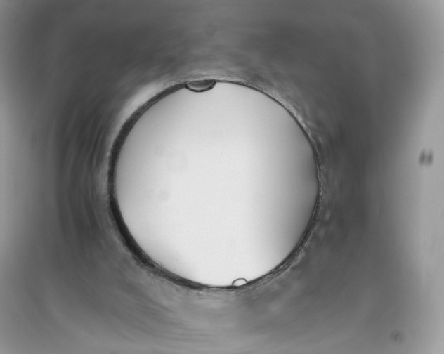 X0000096140008200802011221