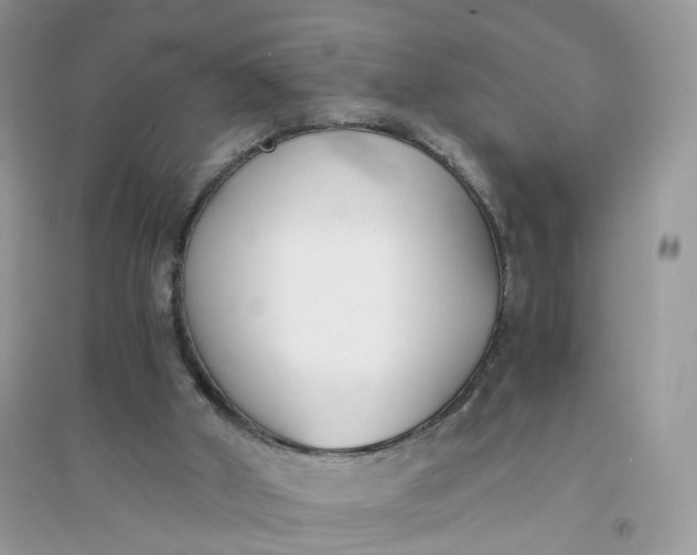 X0000096140010200802011221
