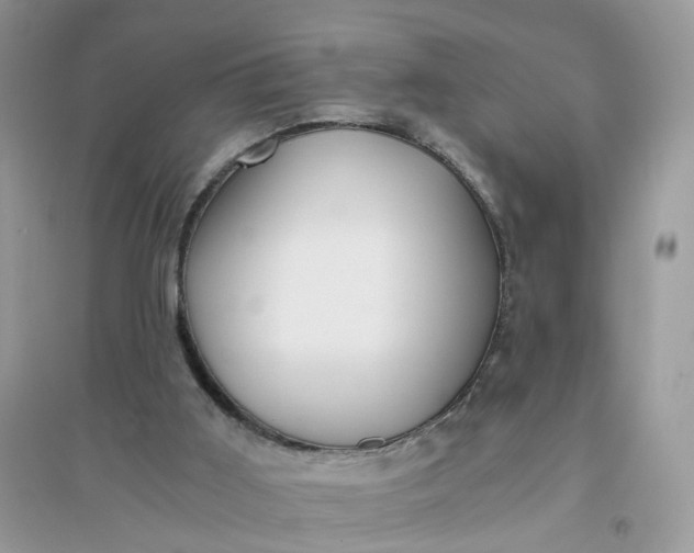 X0000096140011200802011221