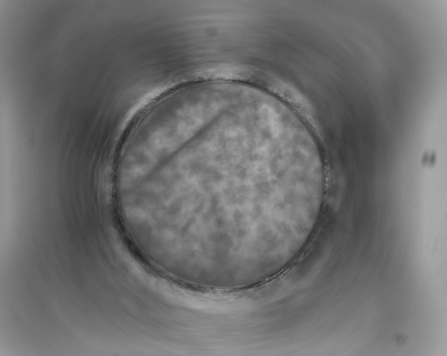 X0000096140012200802011221