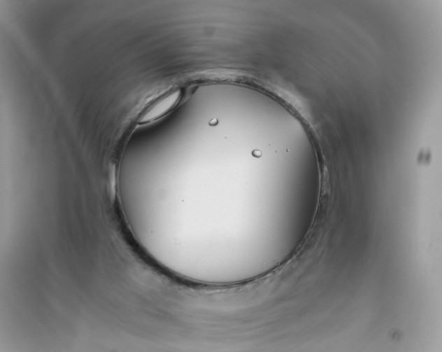 X0000096140013200802011221