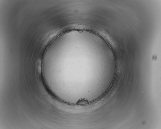 X0000096140014200802011221