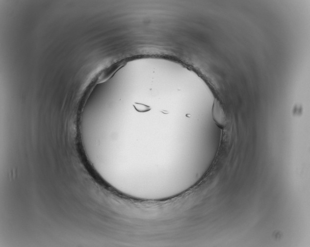 X0000096140015200802011221