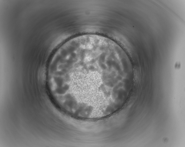 X0000096140016200802011221
