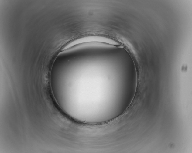 X0000096140017200802011221