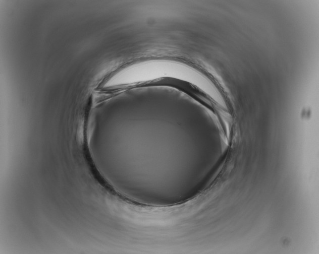 X0000096140019200802011221