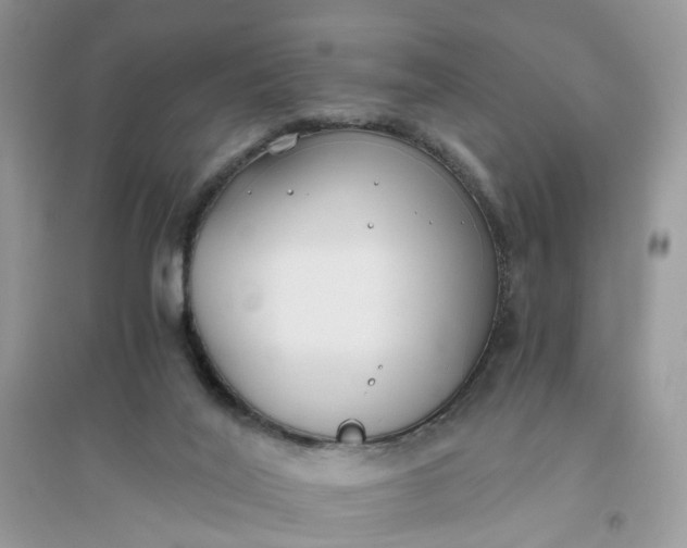 X0000096140020200802011221