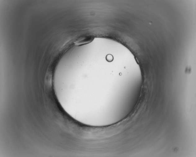 X0000096140021200802011221