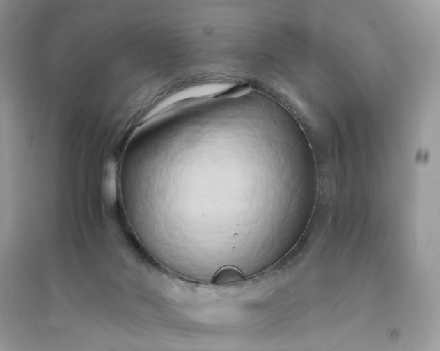 X0000096140022200802011221