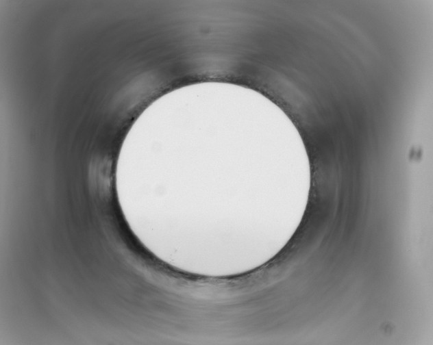 X0000096140024200802011220