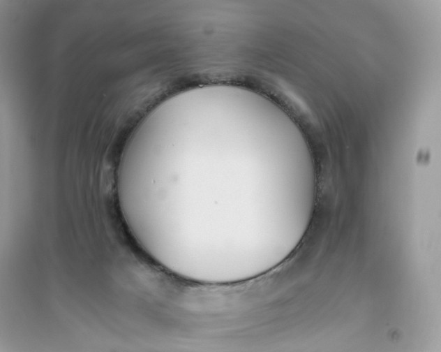 X0000096140025200802011220