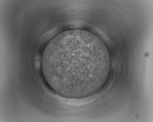 X0000096140026200802011220