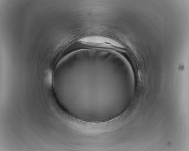X0000096140027200802011220
