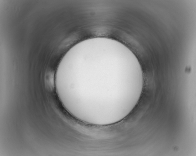 X0000096140028200802011220