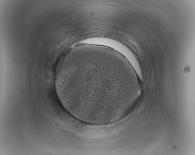 X0000096140029200802011220