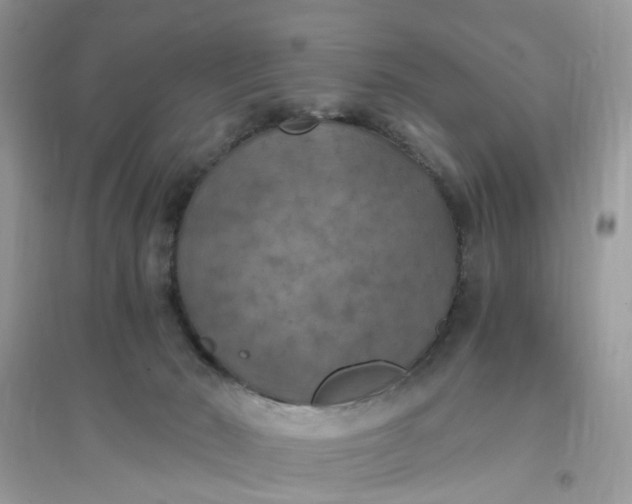 X0000096140030200802011220