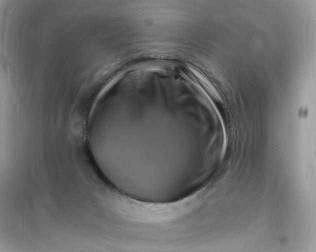 X0000096140031200802011220